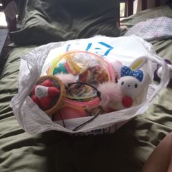 Huge Bag Of Girls Toys And Accessories 