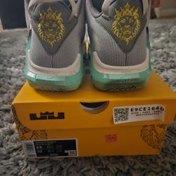 Men's Lebron Witness VII Size 8.5