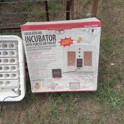 Incubator 