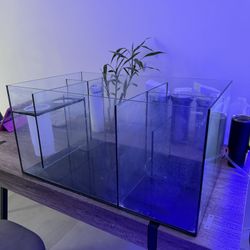 Sump Waterbox  Aquarium Saltwater Fishtank