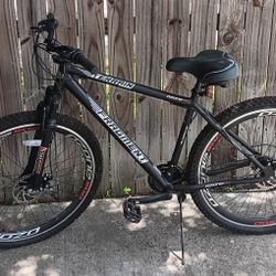 BICYCLE 29