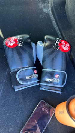 New Boxing Gloves 