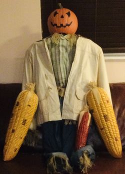 Pumpkin Jean And Corns