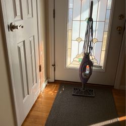 Steam Cleaner 