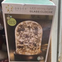 Led Glass Cloche