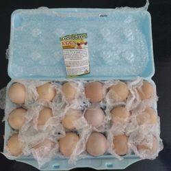 18 Packs Of Organic Brown Eggs