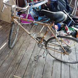 Old Bicycle 