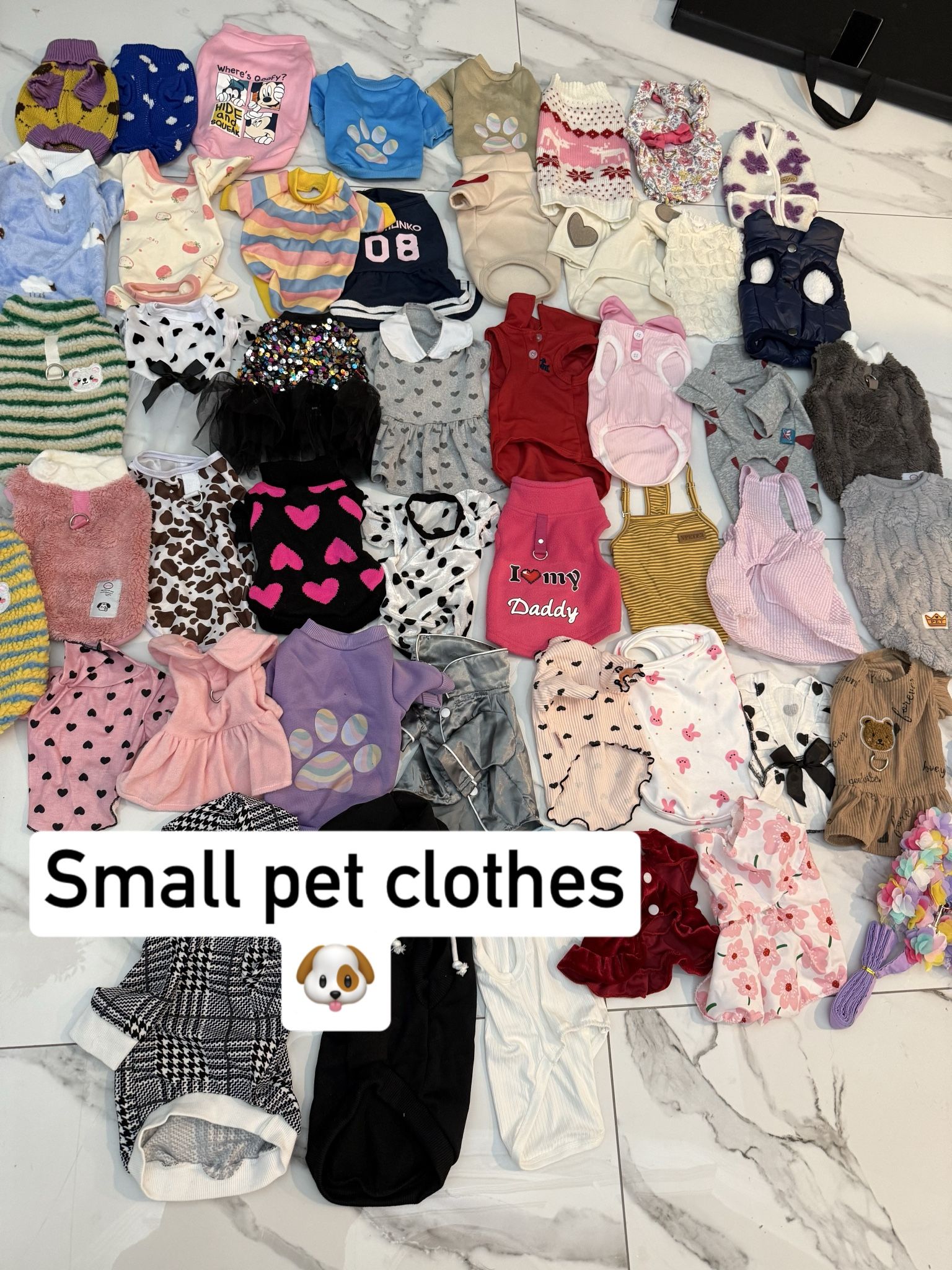 Small Pet Clothing