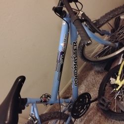 Road Master Mountain Bike 
