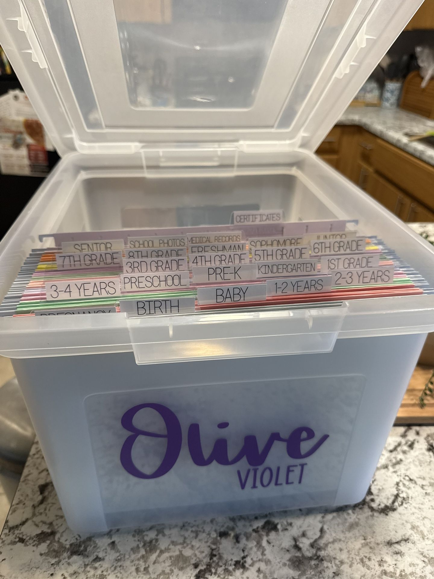Customized File Box