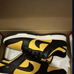 Nike Dunk Low (Size 9) Men 