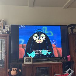 80in Sony TV