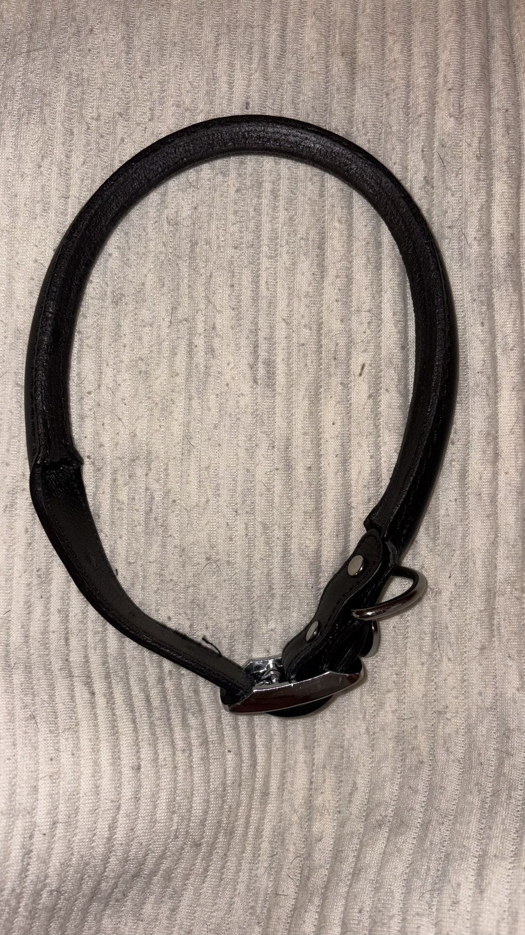 Leather Dog Collar