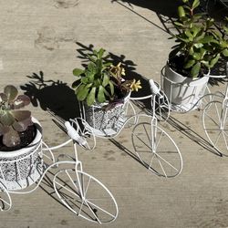 Bicycle Succulent Planters