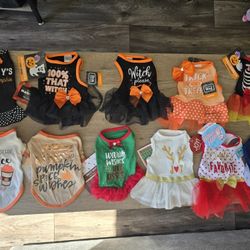 New XS Female Dog Clothes