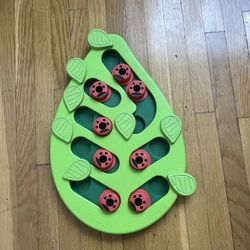 Treat Puzzle Toy