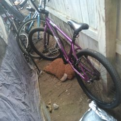 Haro All New BMX Bike