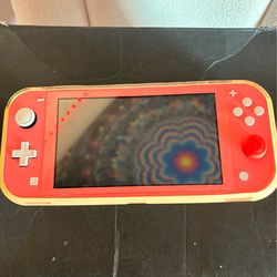 Nintendo switch lite