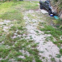 Backyard / Parking / Outdoor Storage