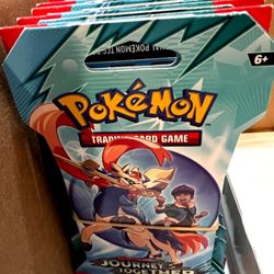 Journey Together Sleeves 