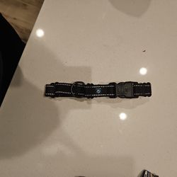 Medium Size Dog Collar