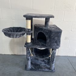 Cat  House 