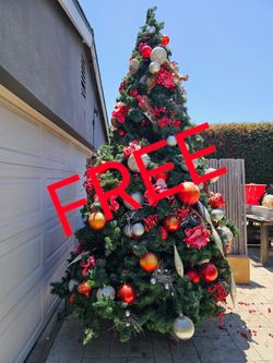Free indoor- outdoor 10 foot tree. Comes apart in sections