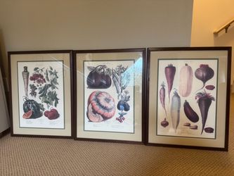 Taschen Custom Framed Museum Quality Botanicals by Taschen 1833