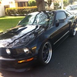 Mustang Gt