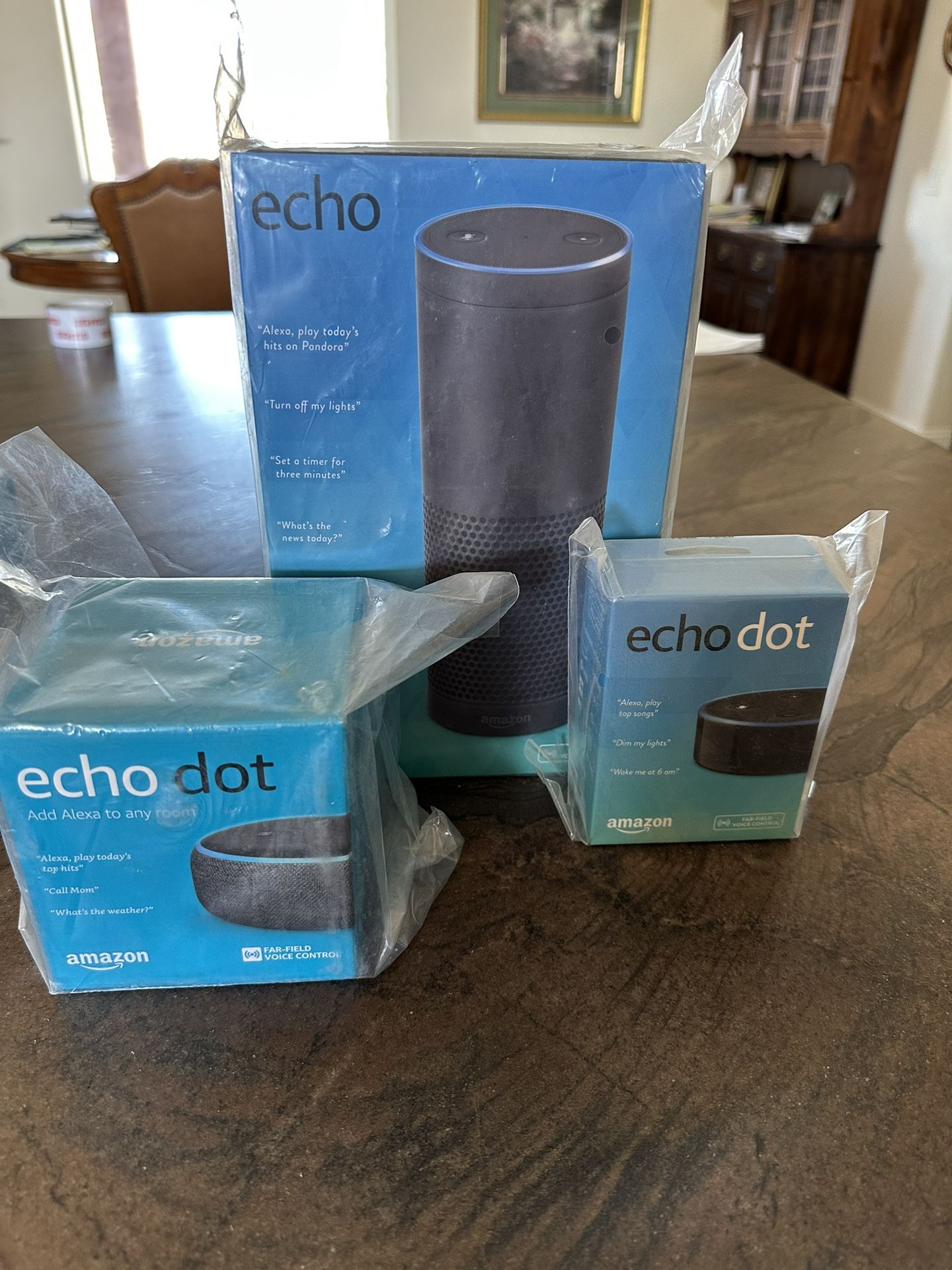 Echo Dot System