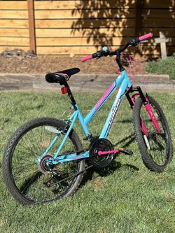 Rallye 24 inch descent mountain bike sale