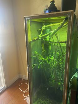 Cage for Lizard