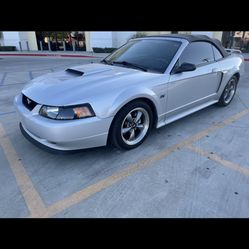 Ford Mustang Gt Convertible
