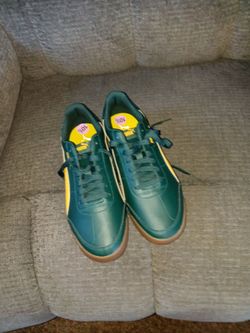 Pumas limited addition