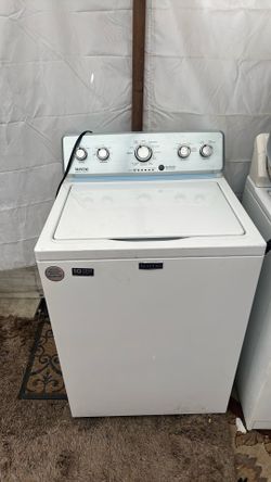 Labadora Maytag