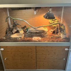 Zen Habitat With Bottom Storage 