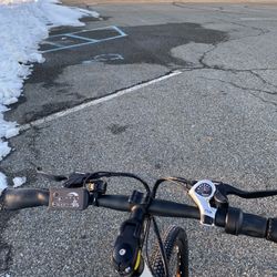 Electric Lightweight Mountain Bike