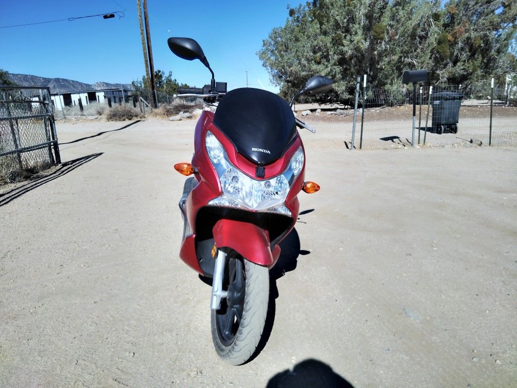 Honda Scouter 2014