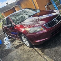 2010 Honda Accord