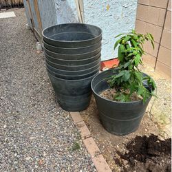 Potting plants containers