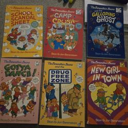 BERENSTAIN BEARS BIG CHAPTER BOOKS