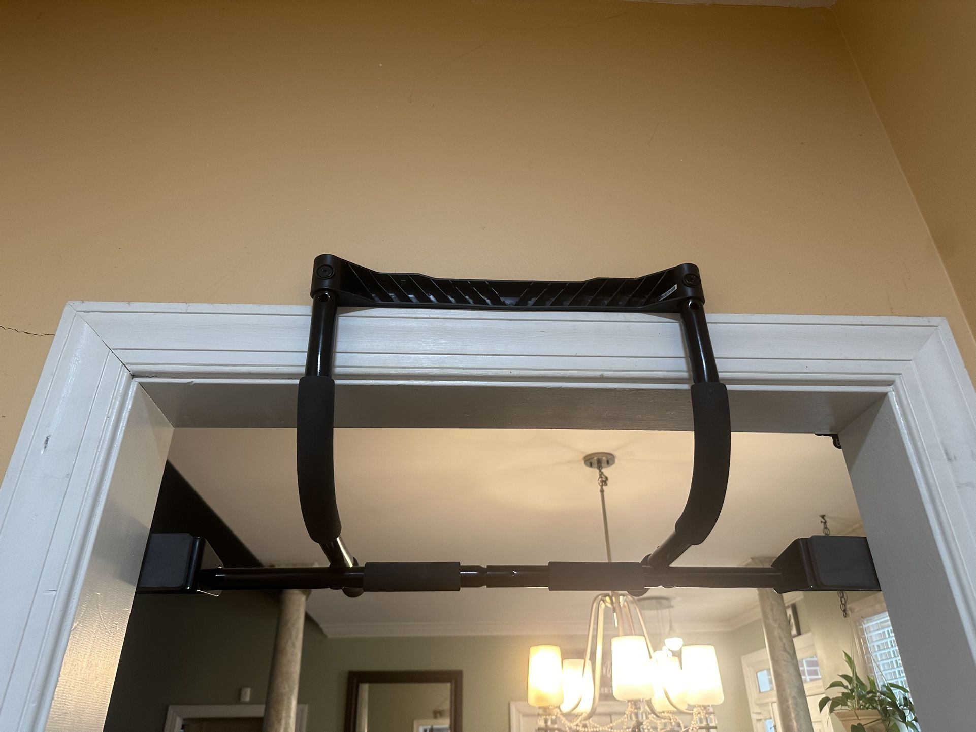 Pull Up Bar