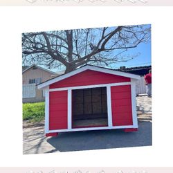 Yard Pet Houses - Lasting Homes for Joyful Pets all they