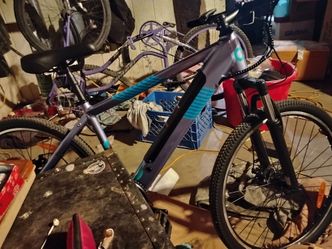 Electric bike new