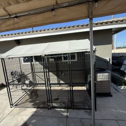 Dog Kennel