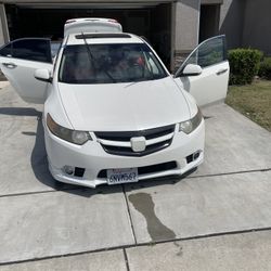 2011 Acura Tsx Grill Piece 