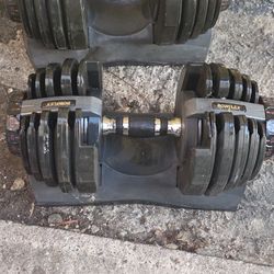 Bowflex Adjustable Dumbbells 552