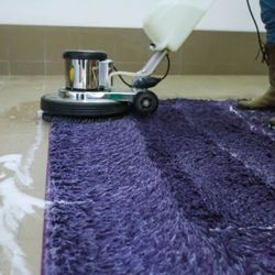 Steam Cleaner, Rugs Carpet Floors Etc.