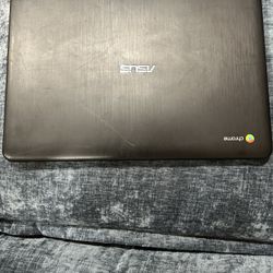 Asus Chromebook C300