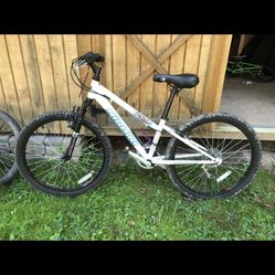 Nishiki Mountain Bike Great Condition 